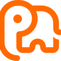 Under the Sun with Paddy