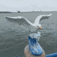 大海拾光